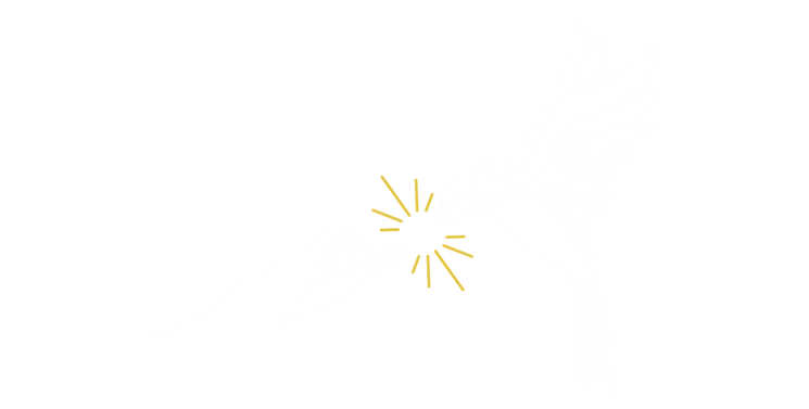 MEDEINA
